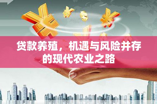 沈河贷款养殖，机遇与风险并存的现代农业之路
