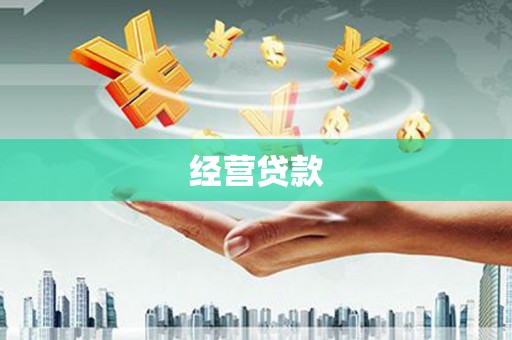 大林经营贷款