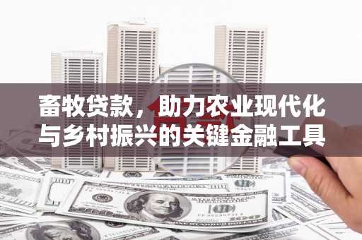 城中畜牧贷款，助力农业现代化与乡村振兴的关键金融工具