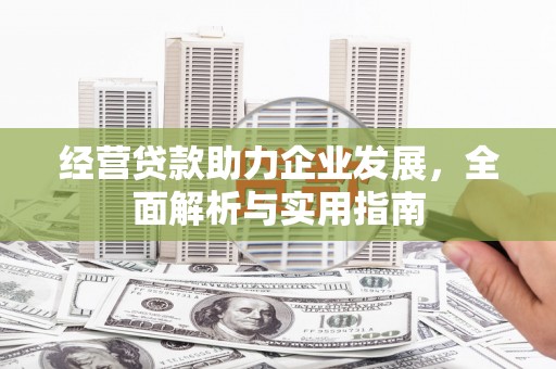 狮潭经营贷款助力企业发展，全面解析与实用指南