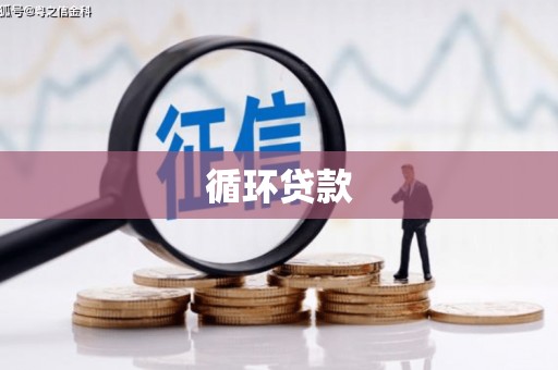 枝江循环贷款