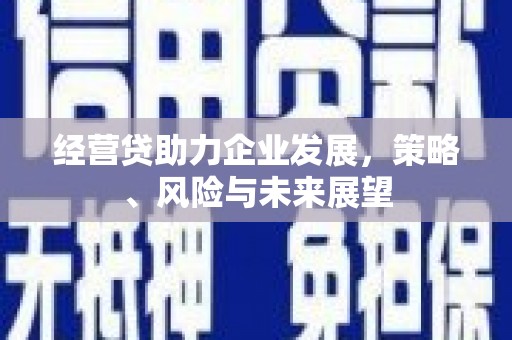 田家庵经营贷助力企业发展，策略、风险与未来展望