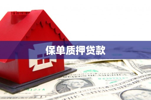 张家界保单质押贷款
