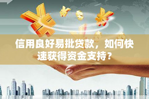 沧县信用良好易批贷款，如何快速获得资金支持？
