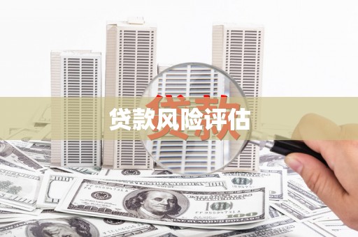 江川贷款风险评估