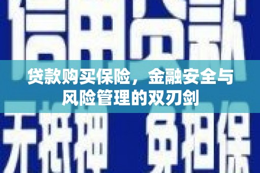 伽师贷款购买保险，金融安全与风险管理的双刃剑