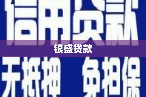 陆川银盛贷款