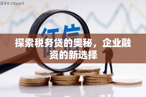 德钦探索税务贷的奥秘，企业融资的新选择