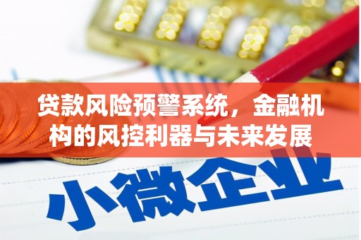 西和贷款风险预警系统，金融机构的风控利器与未来发展