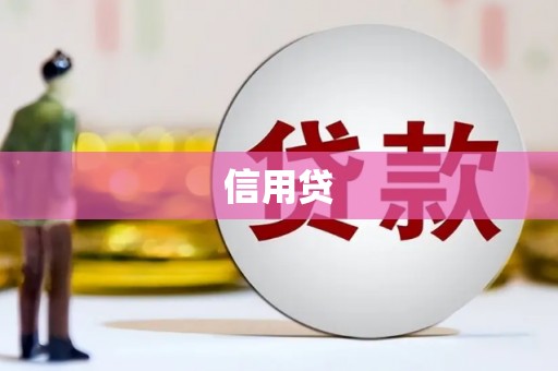 维西信用贷