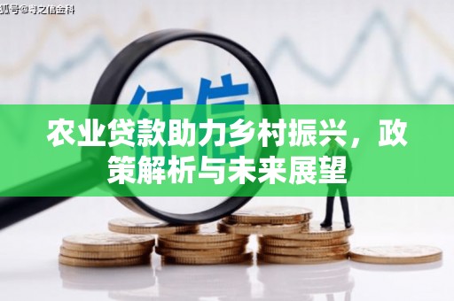 长白农业贷款助力乡村振兴，政策解析与未来展望