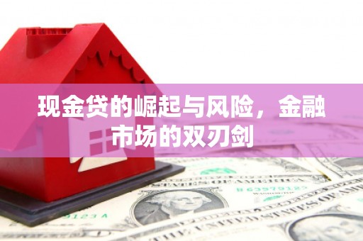 武邑现金贷的崛起与风险，金融市场的双刃剑