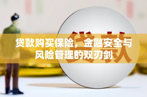 涧西贷款购买保险，金融安全与风险管理的双刃剑
