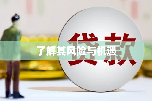 兴文了解其风险与机遇
