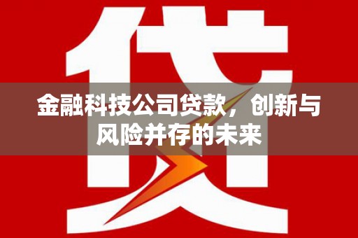 景谷金融科技公司贷款，创新与风险并存的未来