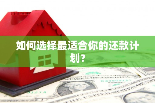 旌阳如何选择最适合你的还款计划？