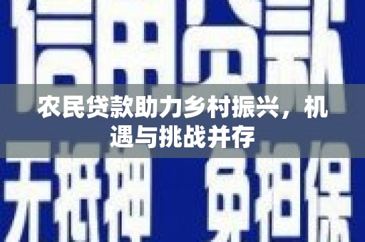 龙口农民贷款助力乡村振兴，机遇与挑战并存