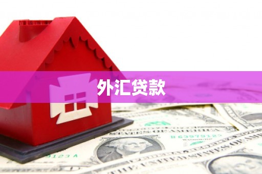 涿鹿外汇贷款
