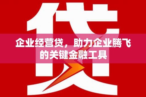 狮潭企业经营贷，助力企业腾飞的关键金融工具