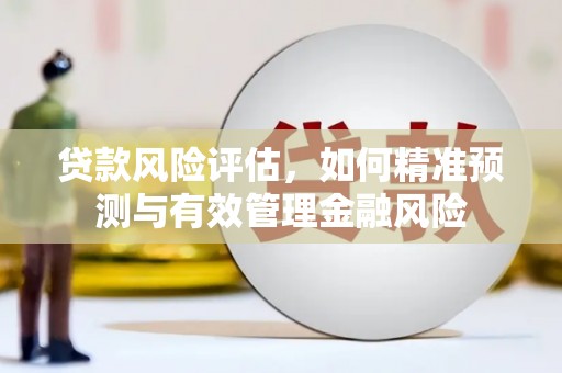 和县贷款风险评估，如何精准预测与有效管理金融风险