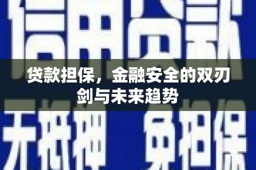 赤城贷款担保，金融安全的双刃剑与未来趋势
