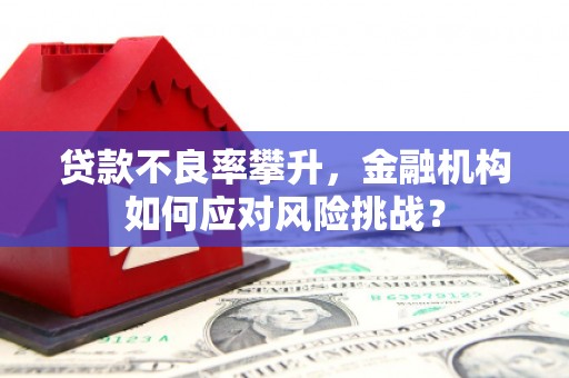 任丘贷款不良率攀升，金融机构如何应对风险挑战？