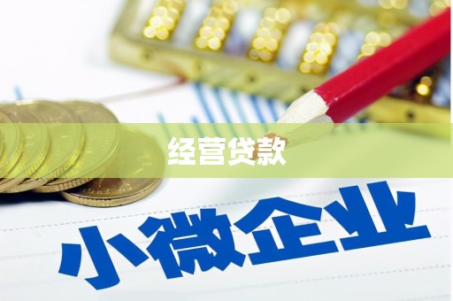 宁陵经营贷款