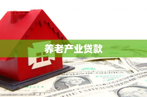 赵县养老产业贷款