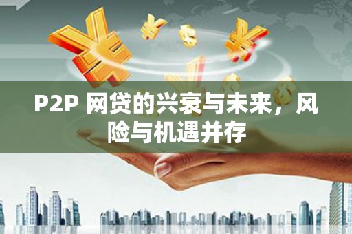 洛隆P2P 网贷的兴衰与未来，风险与机遇并存