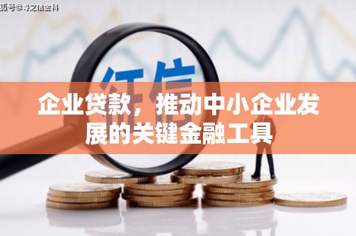 全南企业贷款，推动中小企业发展的关键金融工具