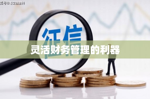 临沧灵活财务管理的利器