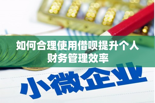 共和如何合理使用借呗提升个人财务管理效率