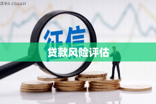 民和贷款风险评估