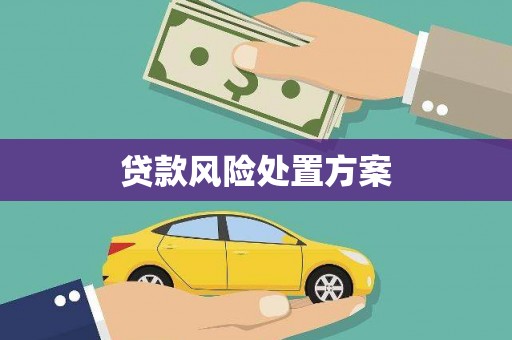 西华贷款风险处置方案