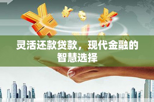 盐山灵活还款贷款，现代金融的智慧选择