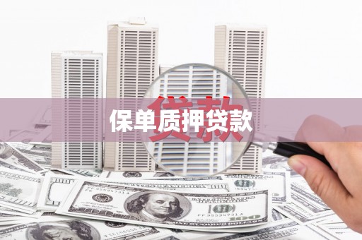 带岭保单质押贷款