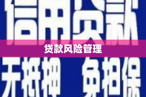 达日贷款风险管理
