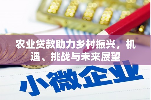 吴兴农业贷款助力乡村振兴，机遇、挑战与未来展望