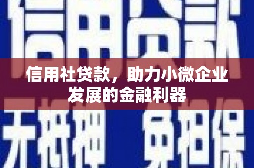 金溪信用社贷款，助力小微企业发展的金融利器