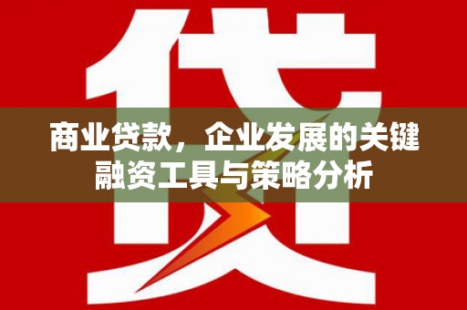 石龙商业贷款，企业发展的关键融资工具与策略分析