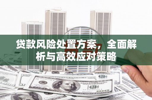 巴青贷款风险处置方案，全面解析与高效应对策略