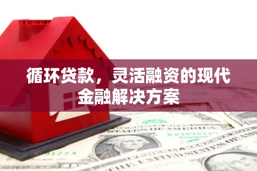 漳州循环贷款，灵活融资的现代金融解决方案