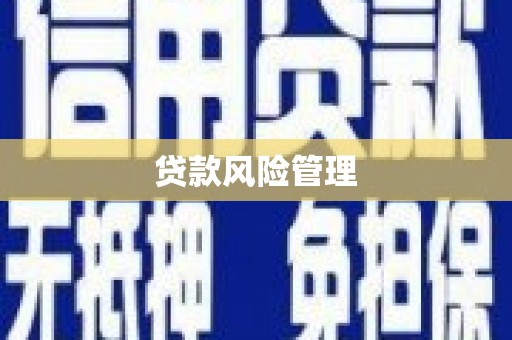东营贷款风险管理