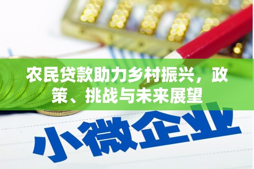 罗定农民贷款助力乡村振兴，政策、挑战与未来展望