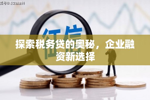 海兴探索税务贷的奥秘，企业融资新选择