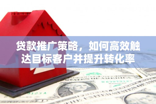 岱山贷款推广策略，如何高效触达目标客户并提升转化率