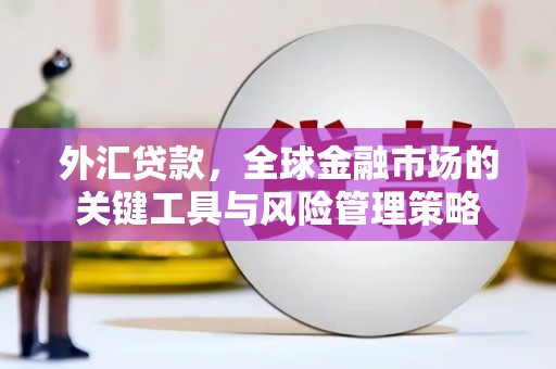 埤头外汇贷款，全球金融市场的关键工具与风险管理策略