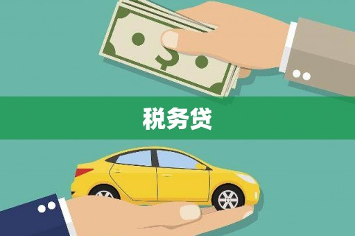 阳西税务贷