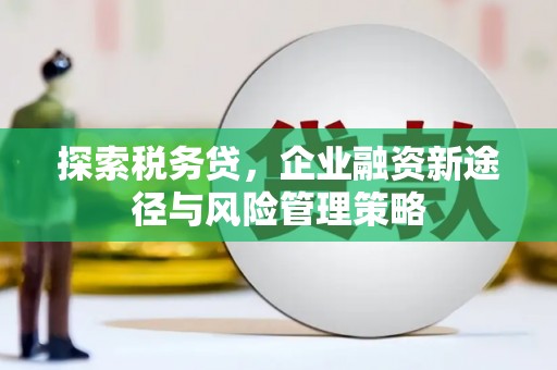 美浓探索税务贷，企业融资新途径与风险管理策略