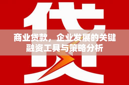 鱼池商业贷款，企业发展的关键融资工具与策略分析